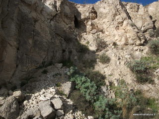 stello di Poira-22-12-2012 09-49-25